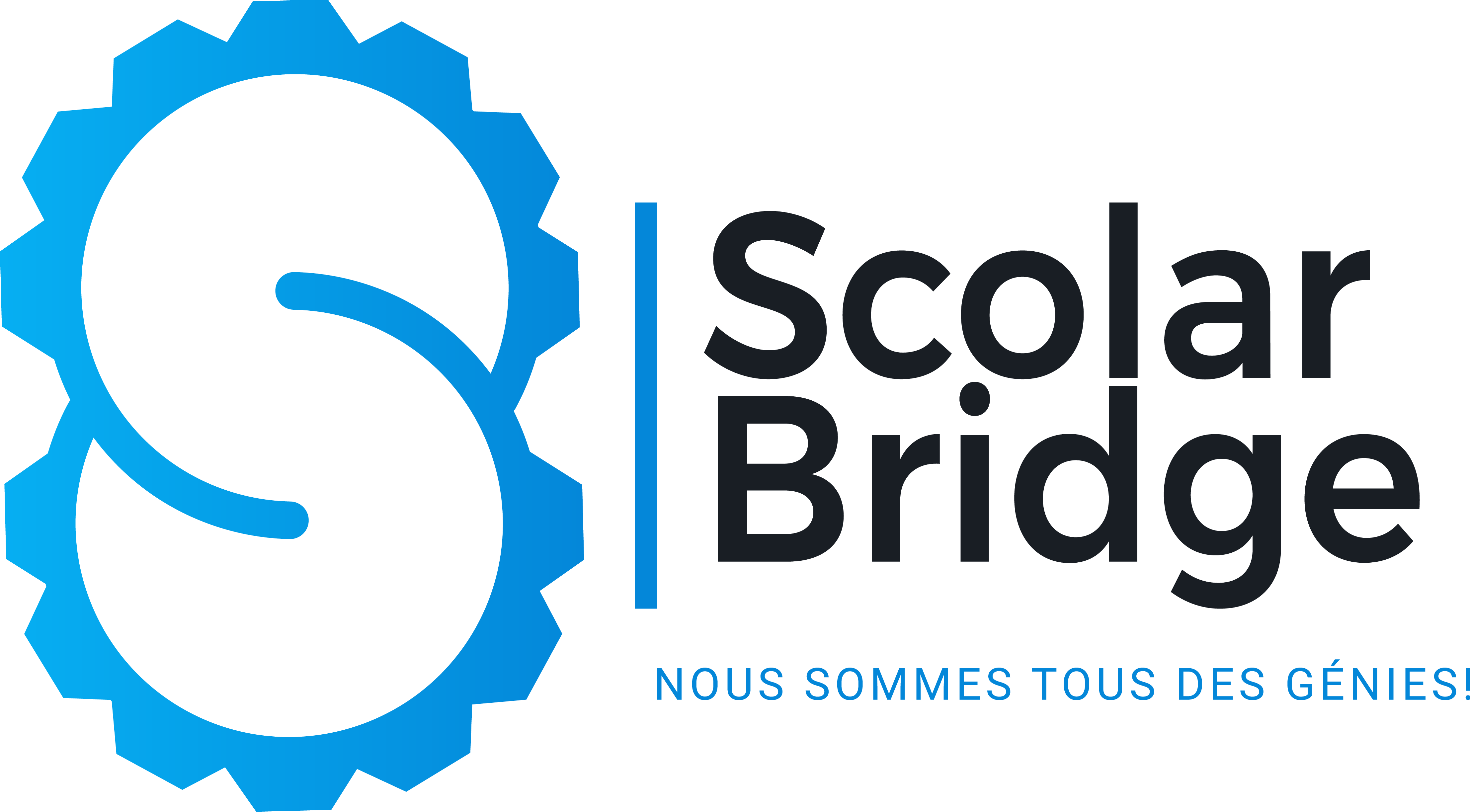 ScolarBridge Blog